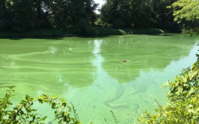 The Benefits of Lake and Pond Aeration